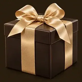 Wrapped gift box — Ruby Reels
